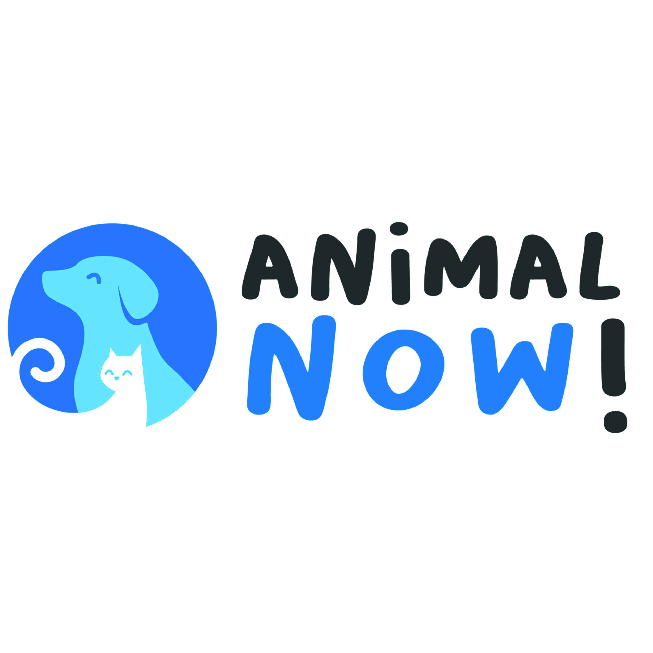 Animal Now