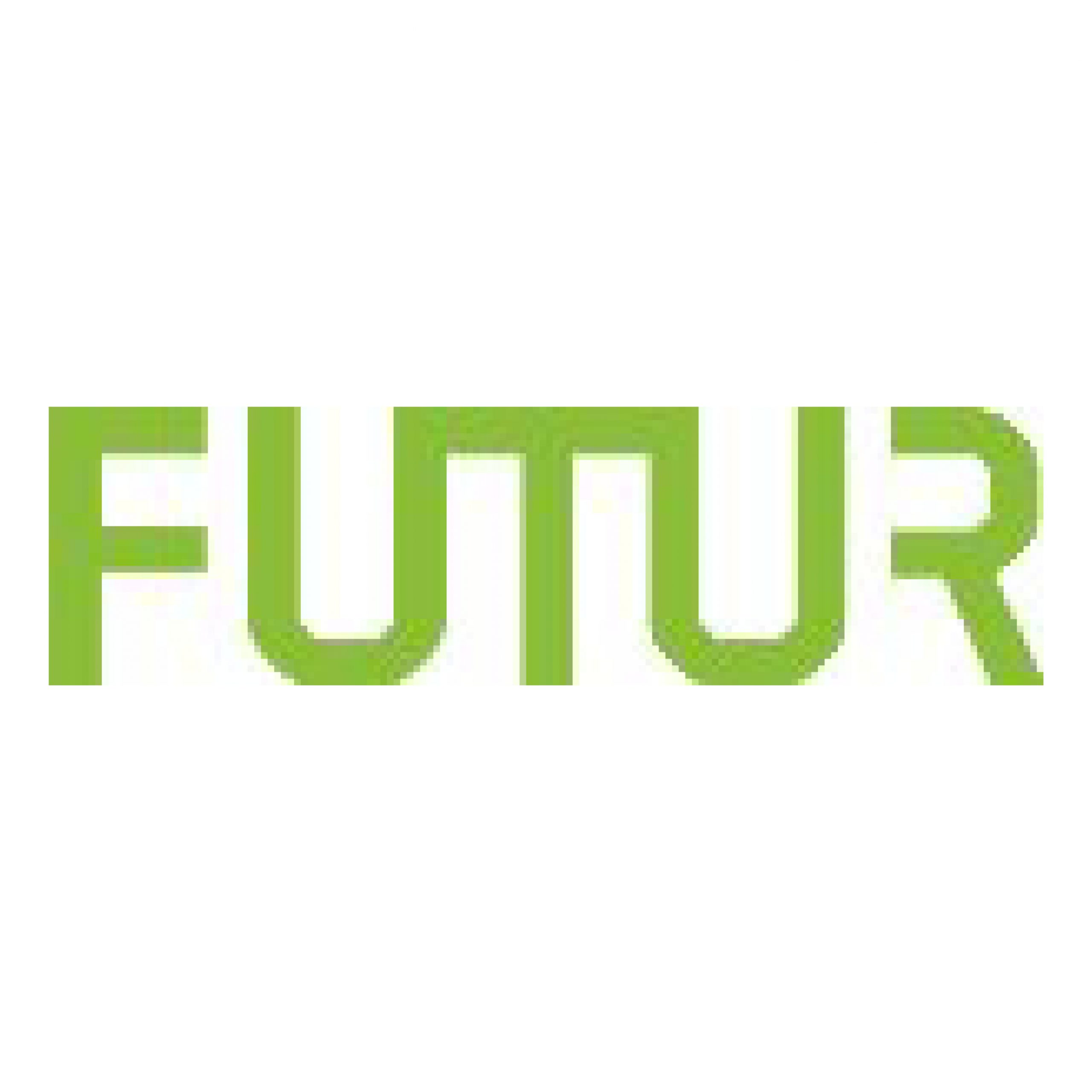 Stiftung FUTUR