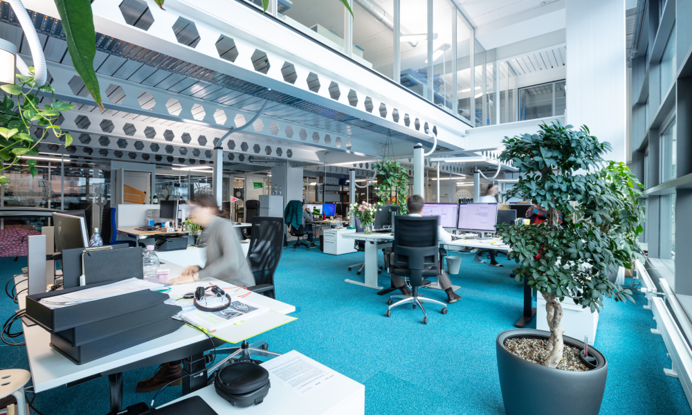 Kopie FirstMedia-Startfeld-Mycosolutions-078A6523-20191213-124439 Kopie